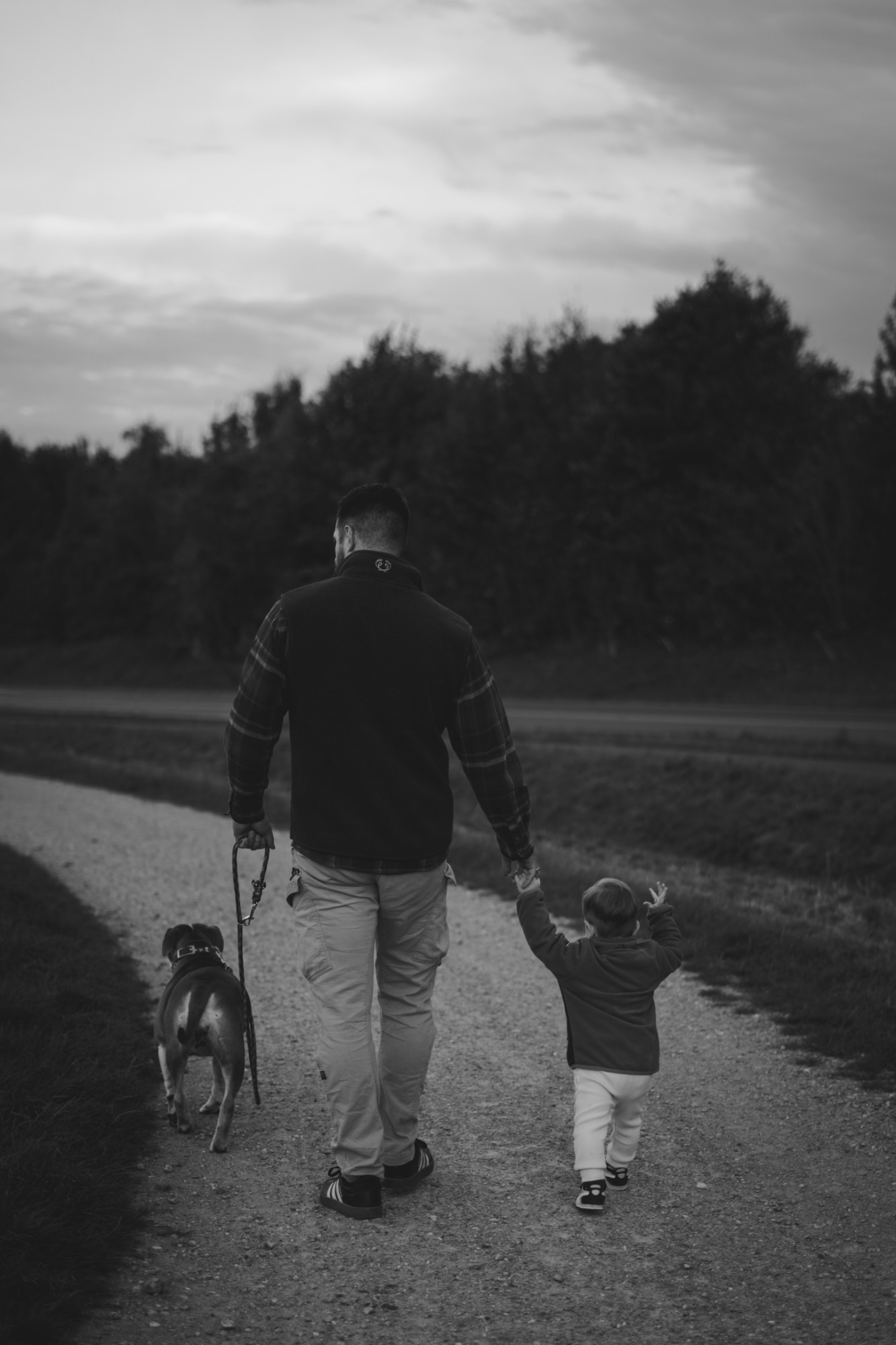 Familie Familienhunde